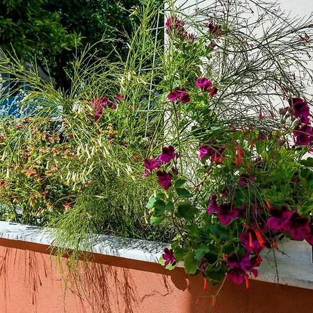 Veronika Apartamento Dubrovnik